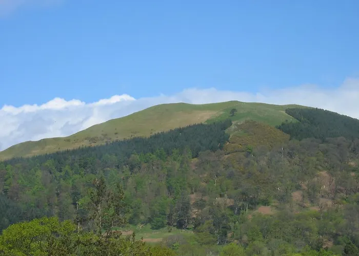 Cragside 住宿加早餐酒店